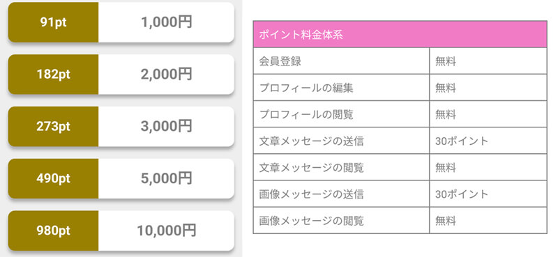 匿名チャットの料金