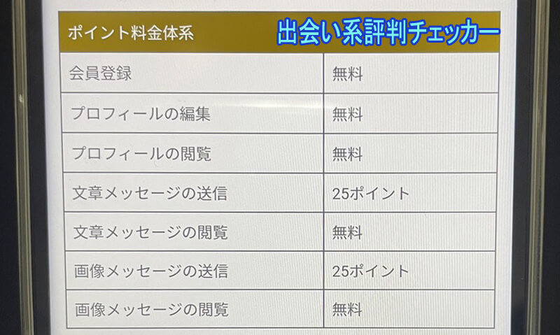 ヒメゴトの料金②