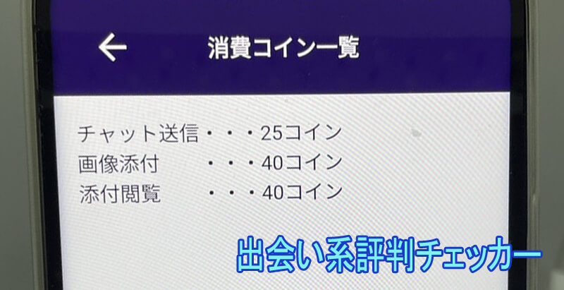 恋活マッチの料金②