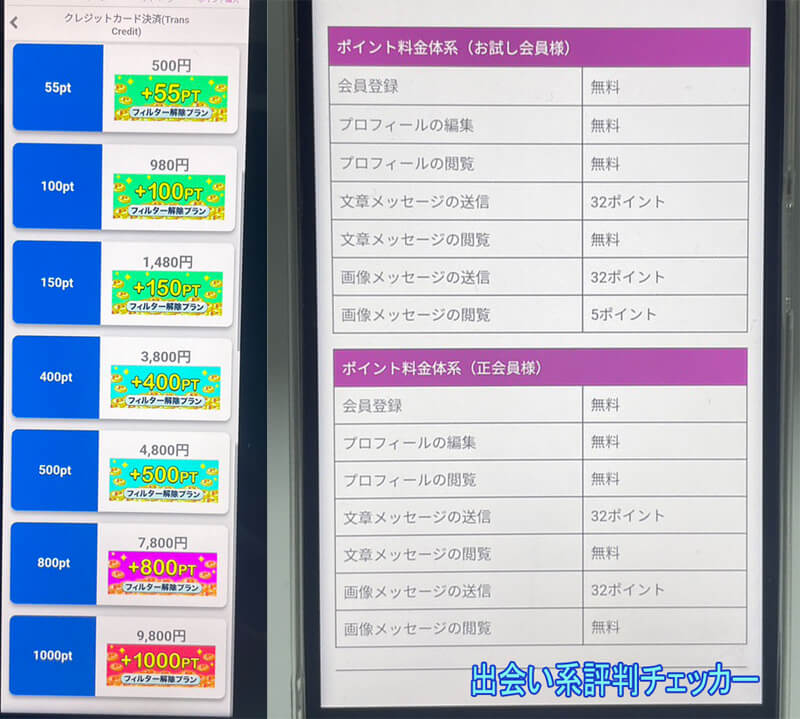 オトナノ遊びの料金