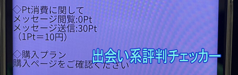 ぴんくちゃんねるの料金②