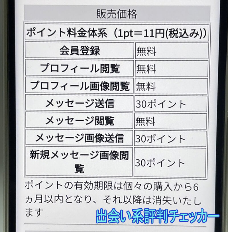 マッチングペアの料金②