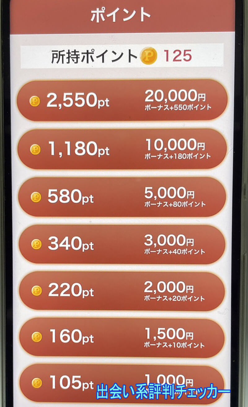 熟年パートナーの料金①