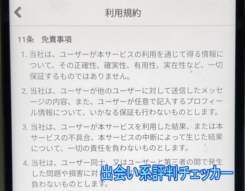 大人の恋の利用規約