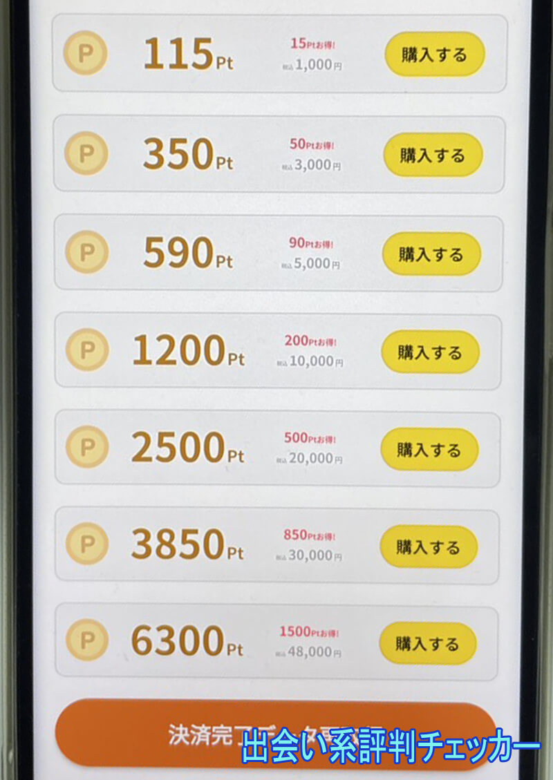 熟年サポの料金１