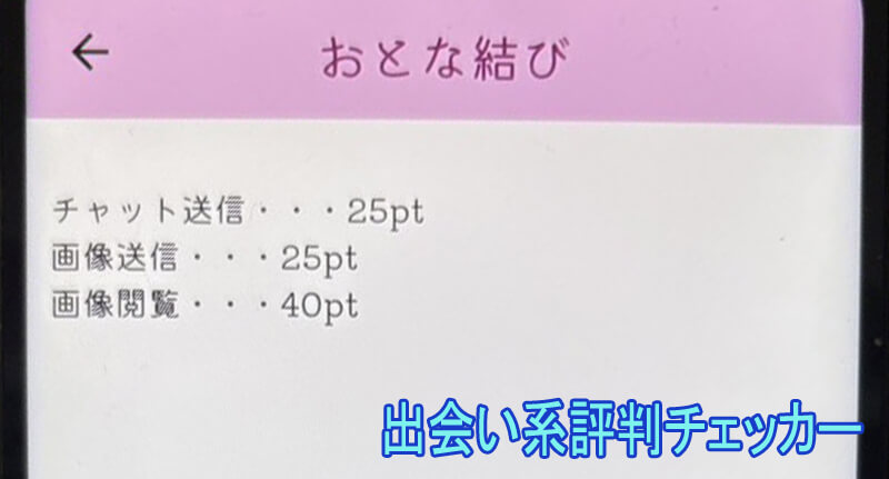 おとな結びの料金②