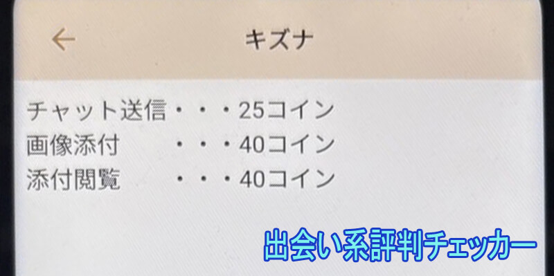 キズナの料金②
