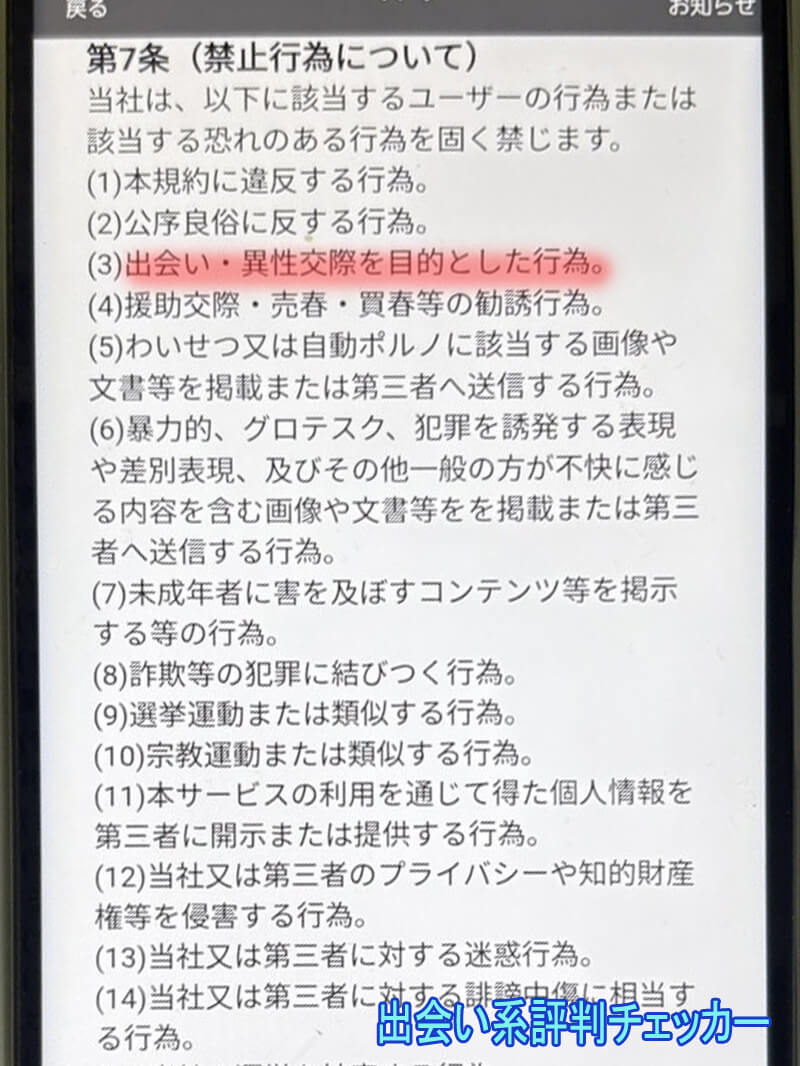 麗しシルバーの利用規約
