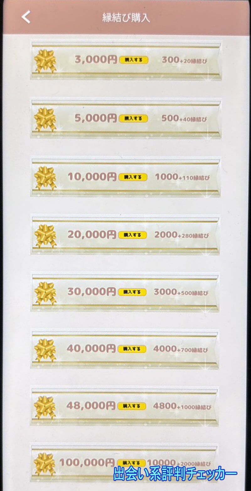 縁結びホームの料金①