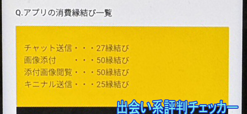縁結びホームの料金②