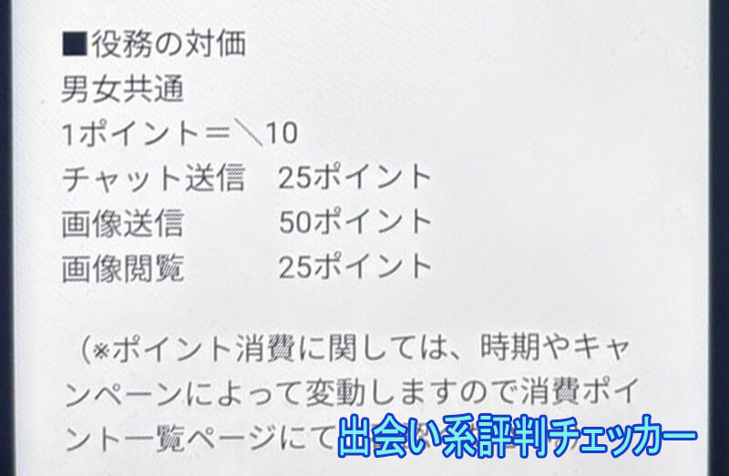 良縁パートナーの料金②
