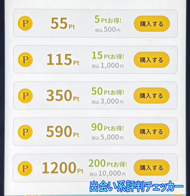 良縁パートナーの料金①